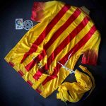 کیت دوم بارسلونا 2013/14 کلاسیک - تصویر 2